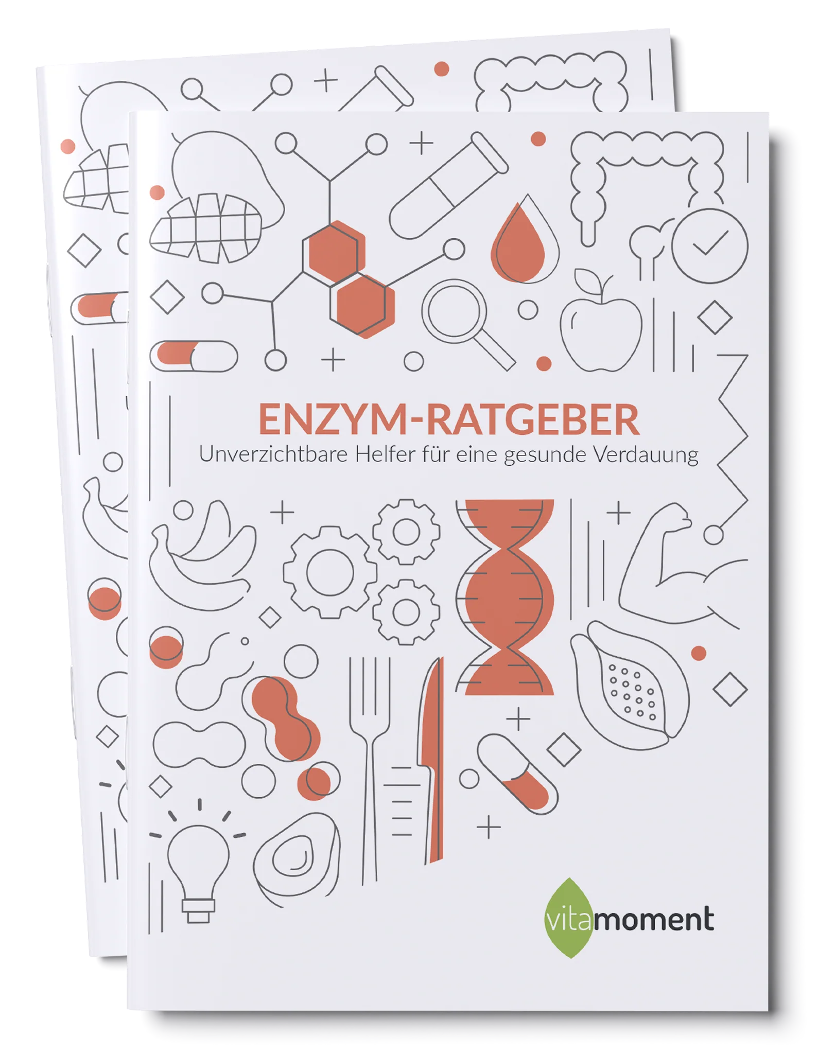 Enzym-Ratgeber