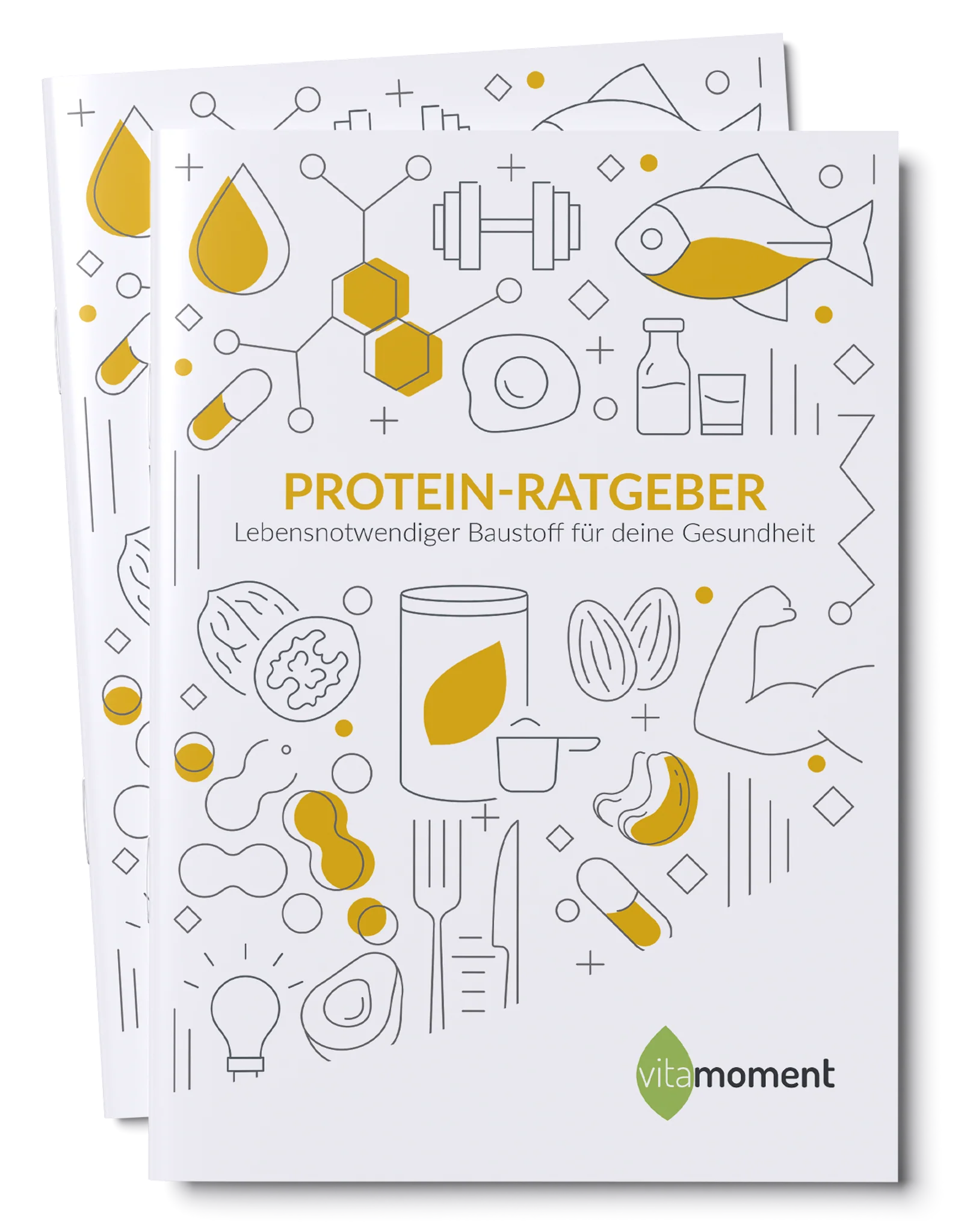 Protein-Ratgeber